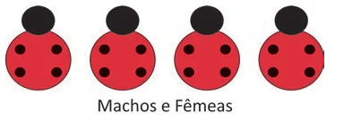 Alternativa A
