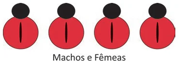 Alternativa B