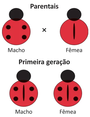 Figura da questão