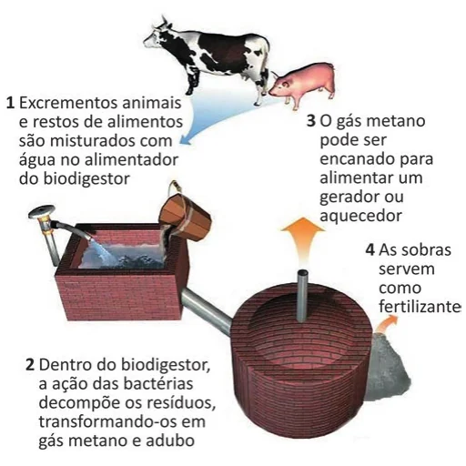Figura da questão