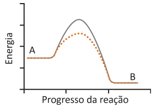 Alternativa C