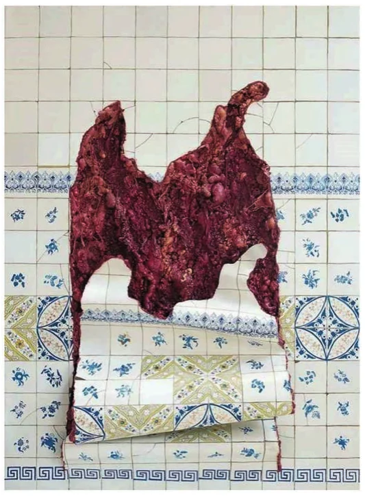 Figura da questão