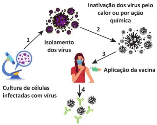 Figura da questão