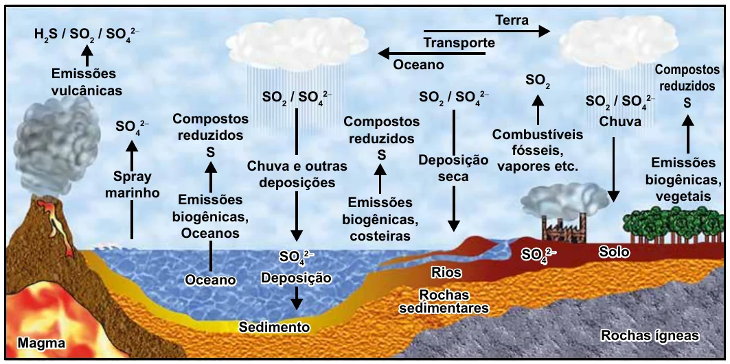Figura da questão