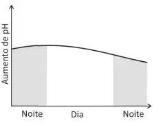 Alternativa A