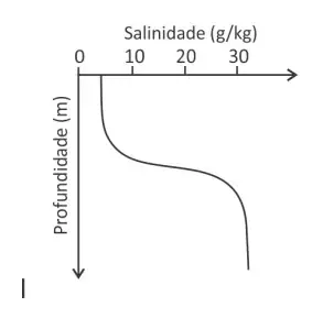 Figura da questão