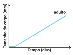 Alternativa A
