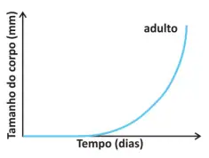 Alternativa B