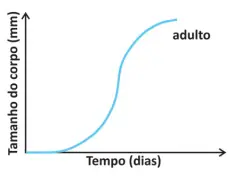 Alternativa C