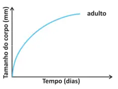 Alternativa D