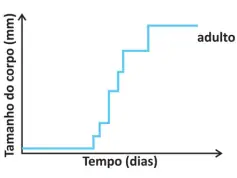 Alternativa E