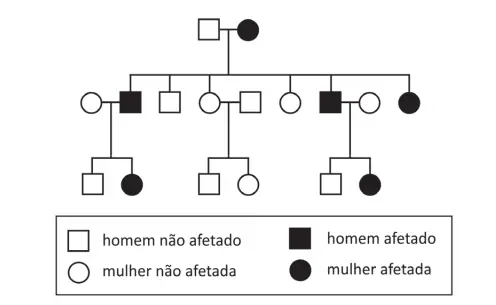 Figura da questão
