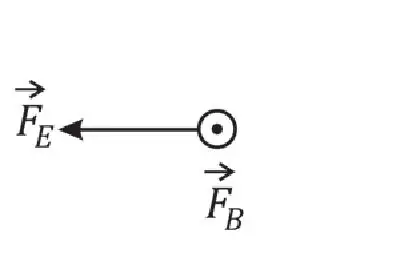 Alternativa D