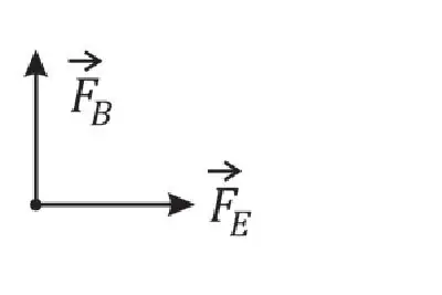 Alternativa C