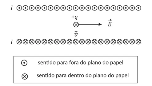 Figura da questão