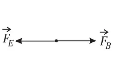 Alternativa E