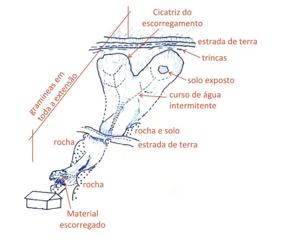 Figura da questão