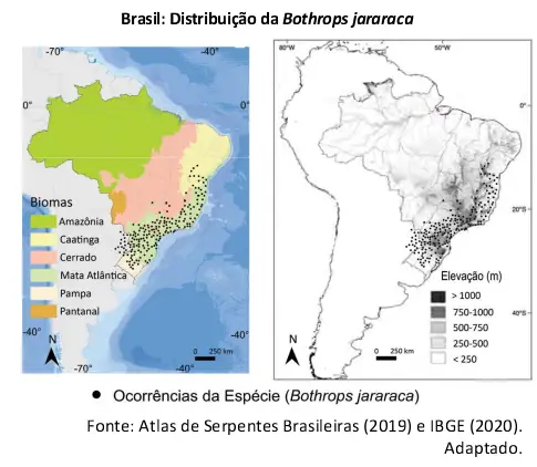 Figura da questão