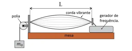 Figura da questão