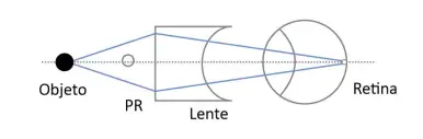 Alternativa C