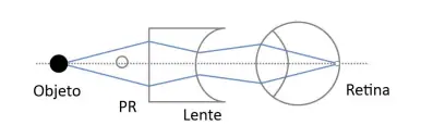 Alternativa D