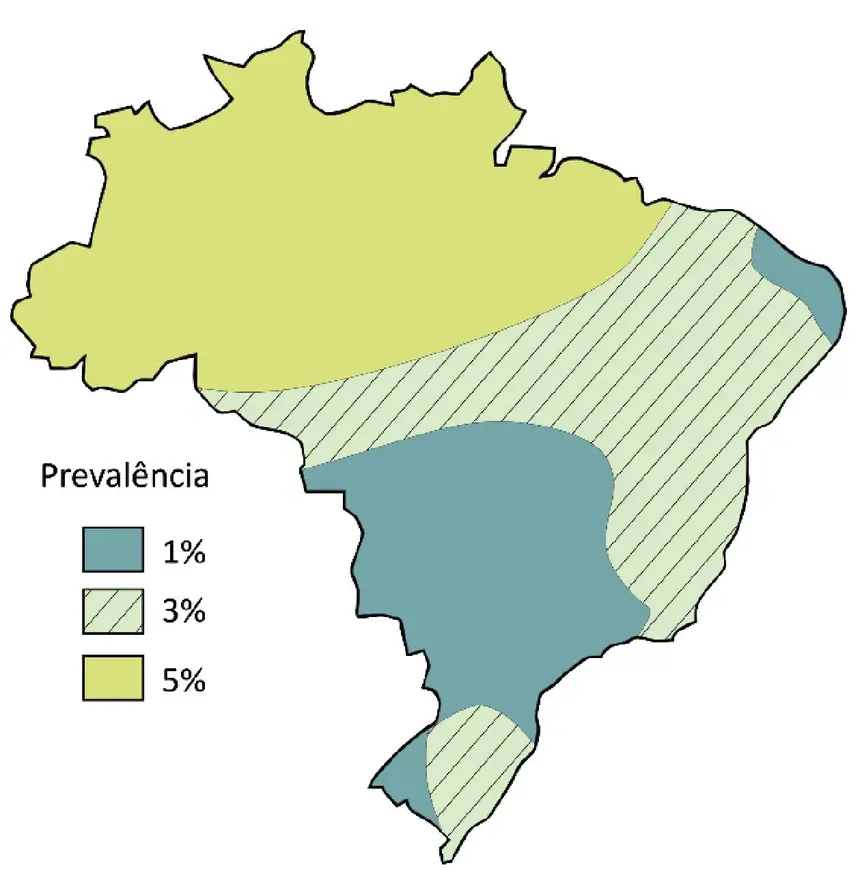 Figura da questão
