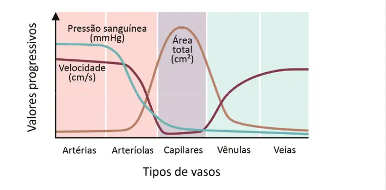 Figura da questão