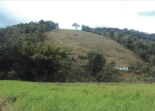Alternativa E