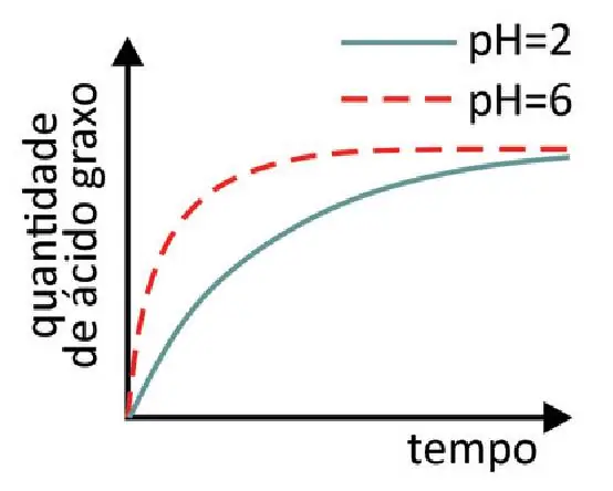 Alternativa C