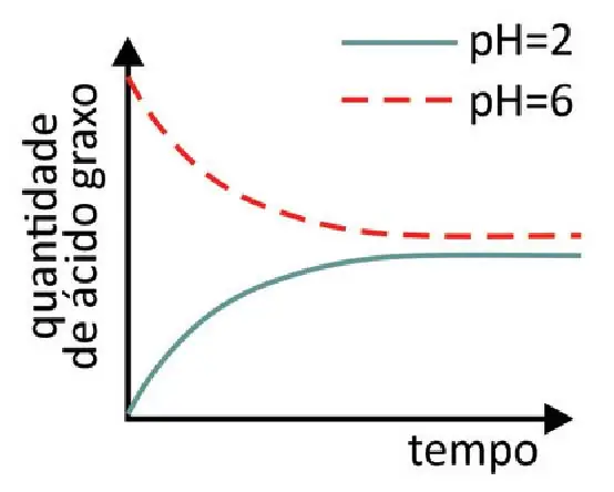 Alternativa B