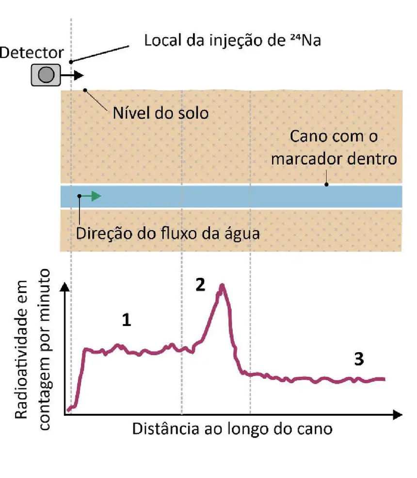Figura da questão