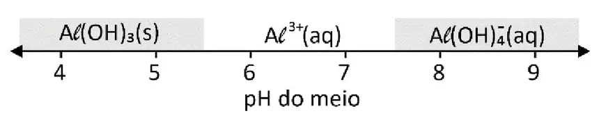 Alternativa D
