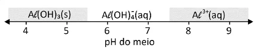 Alternativa C