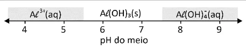 Alternativa E