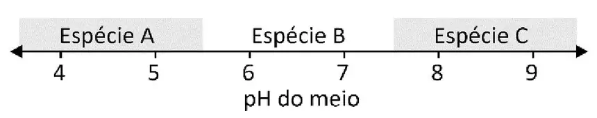 Figura da questão