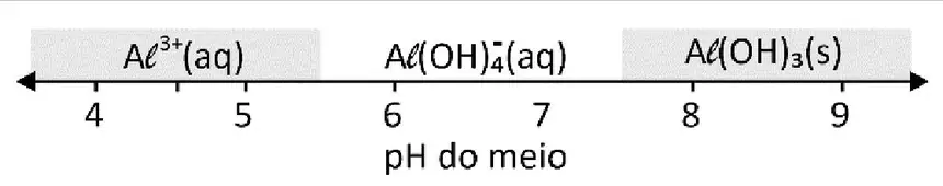 Alternativa B