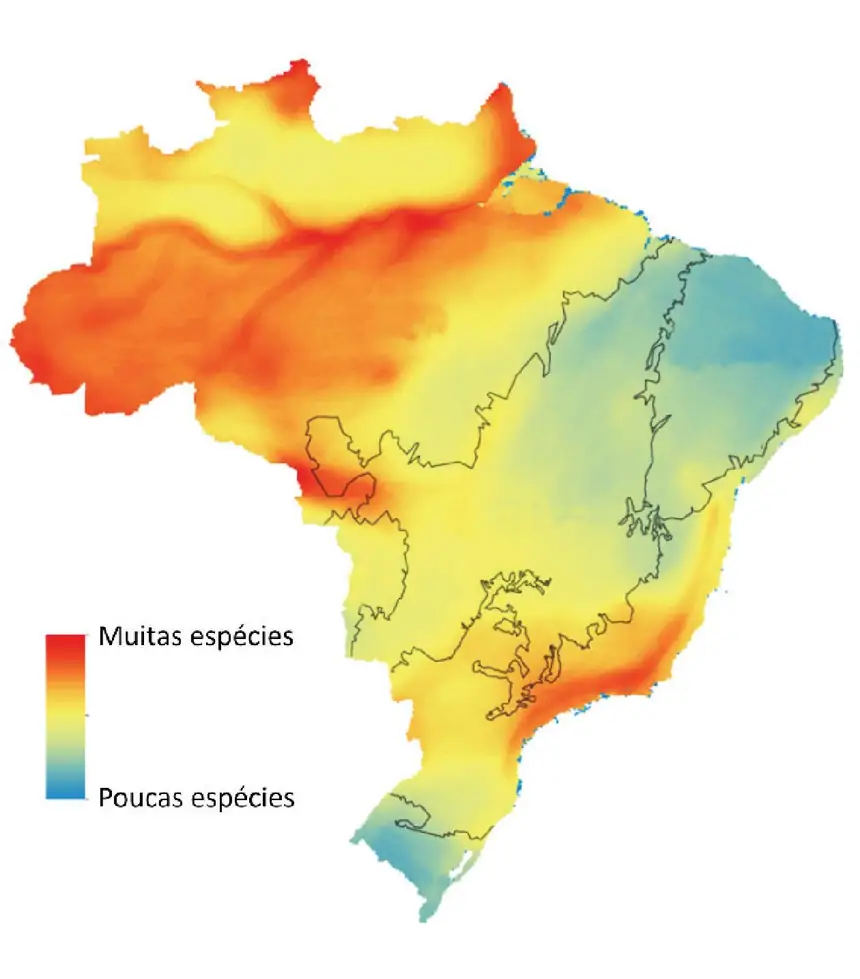 Figura da questão