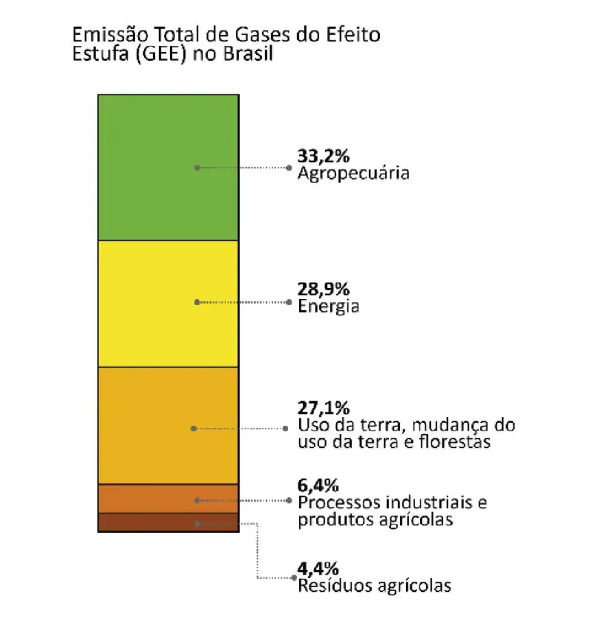 Figura da questão