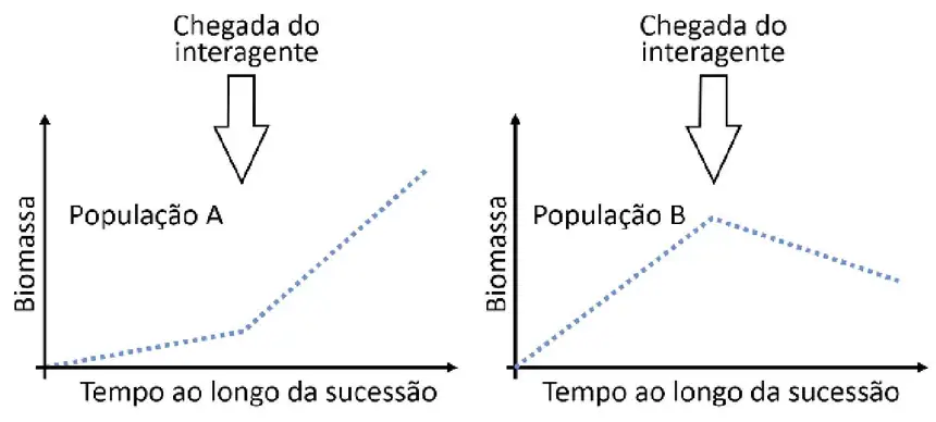 Figura da questão