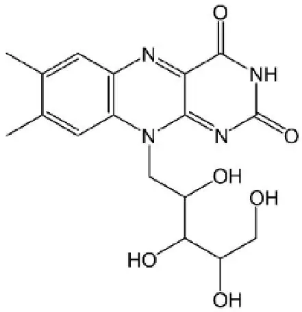 Alternativa B