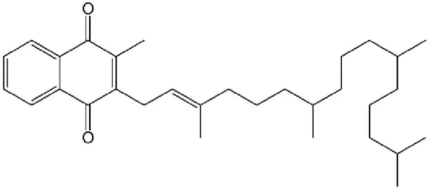 Alternativa C