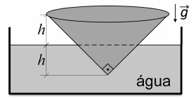 Figura da questão