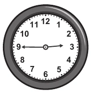 Alternativa D