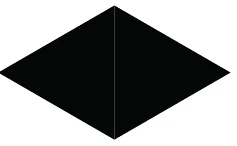 Alternativa D