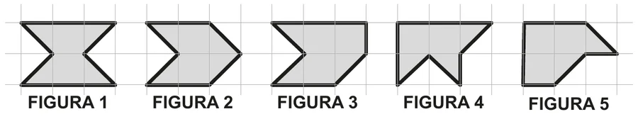 Figura da questão
