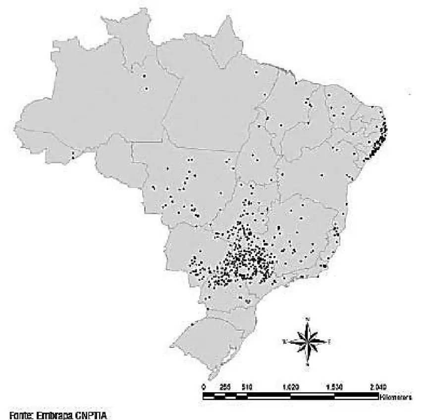 Figura da questão