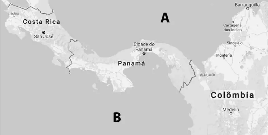 Figura da questão