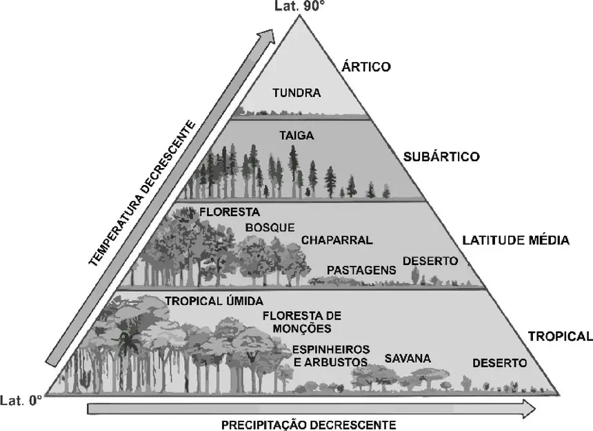 Figura da questão