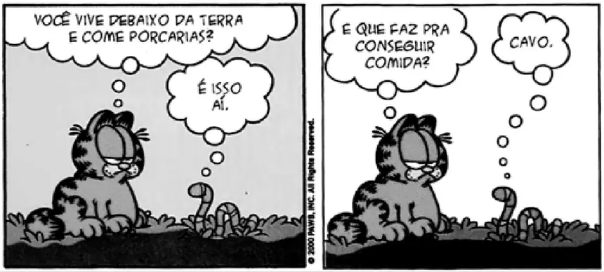 Figura da questão