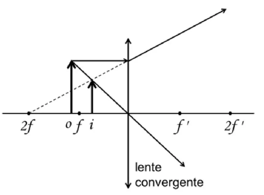 Alternativa D